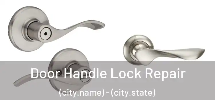 Door Handle Lock Repair (city.name) - (city.state)